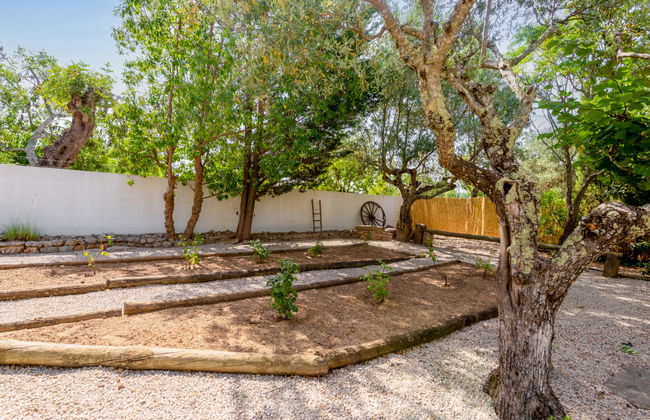 Casa de 4 quartos em São Brás de Alportel com piscina privada e jardim - Foto 30