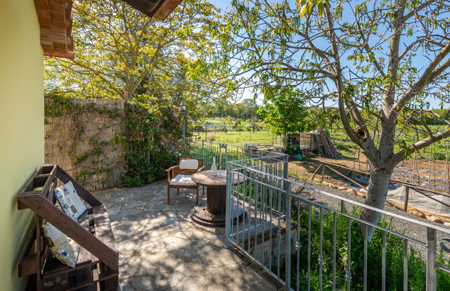 Casa de 3 quartos em Roccastrada com piscina e jardim - Foto 42