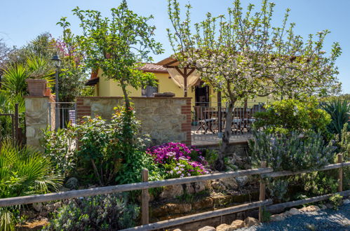 Photo 29 - Maison de 2 chambres à Roccastrada avec piscine et jardin