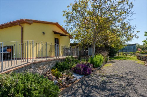 Foto 32 - Casa de 2 habitaciones en Roccastrada con piscina y jardín