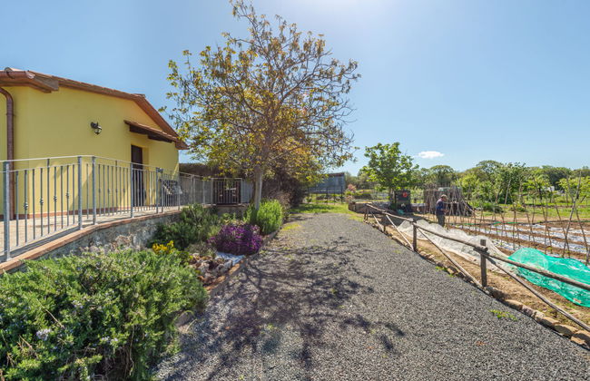 Casa de 3 quartos em Roccastrada com piscina e jardim - Foto 33