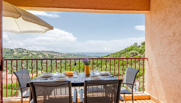 Foto 1 - Appartamento con 1 camera da letto a Roquebrune-sur-Argens con piscina e terrazza