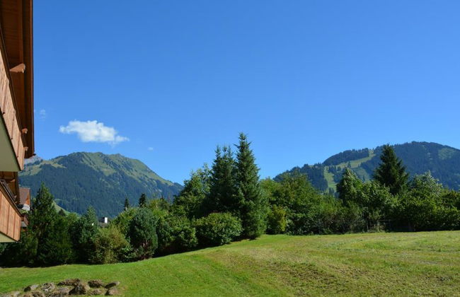 Apartamento de 2 quartos em Saanen - Foto 7