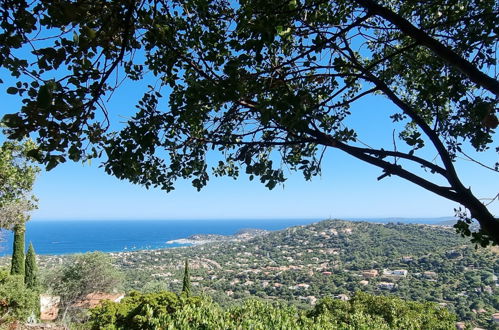 Photo 2 - Maison de 3 chambres à Cavalaire-sur-Mer avec terrasse