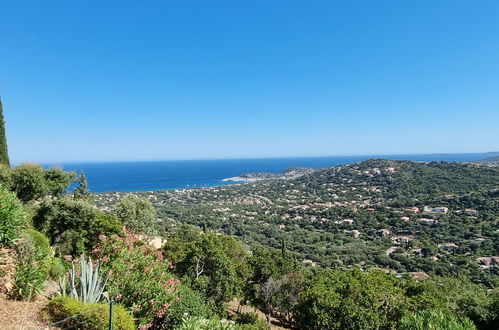 Foto 25 - Casa con 3 camere da letto a Cavalaire-sur-Mer con terrazza