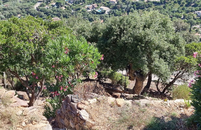 Casa de 3 quartos em Cavalaire-sur-Mer com terraço - Foto 22