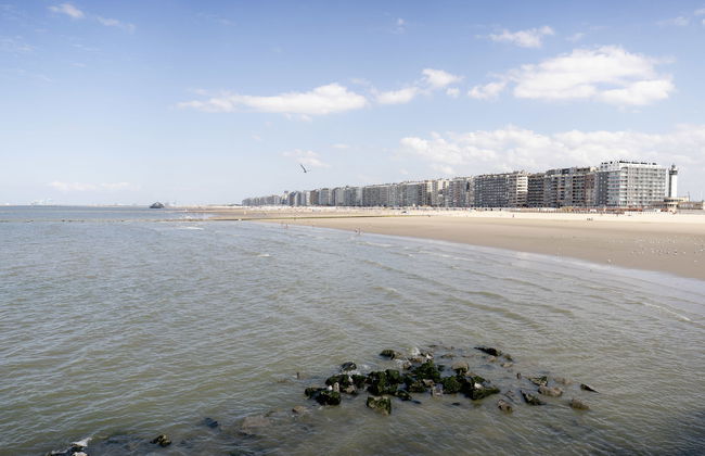 Apartamento de 4 quartos em Blankenberge com jardim e terraço - Foto 47