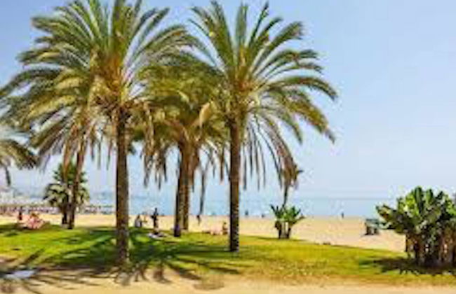 Malagueta Studio 2pax - Foto 24