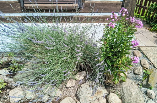 Foto 37 - Casa de 3 quartos em Lánov com jardim e terraço