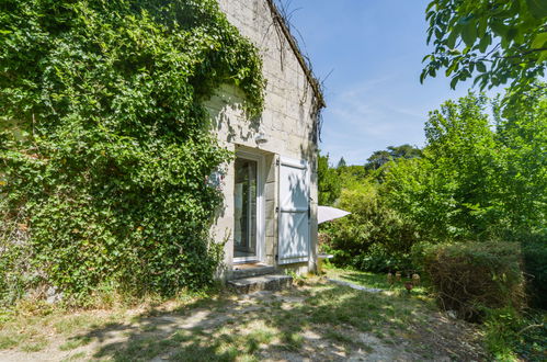 Photo 18 - Maison de 1 chambre à Chissay-en-Touraine avec jardin