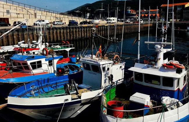 Santoña: Anchovy Factory and Boat Trip - Photo 6
