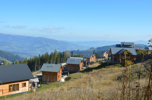 Foto 41 - Casa con 4 camere da letto a Bad Sankt Leonhard im Lavanttal con giardino e terrazza