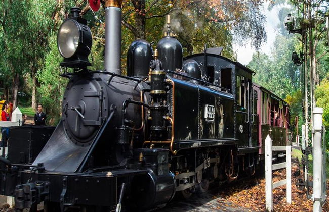 Puffing Billy and Healesville Sanctuary Bus Tour - Foto 1