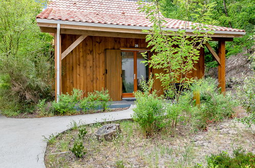 Foto 50 - Appartamento con 2 camere da letto a Lacanau con piscina e terrazza