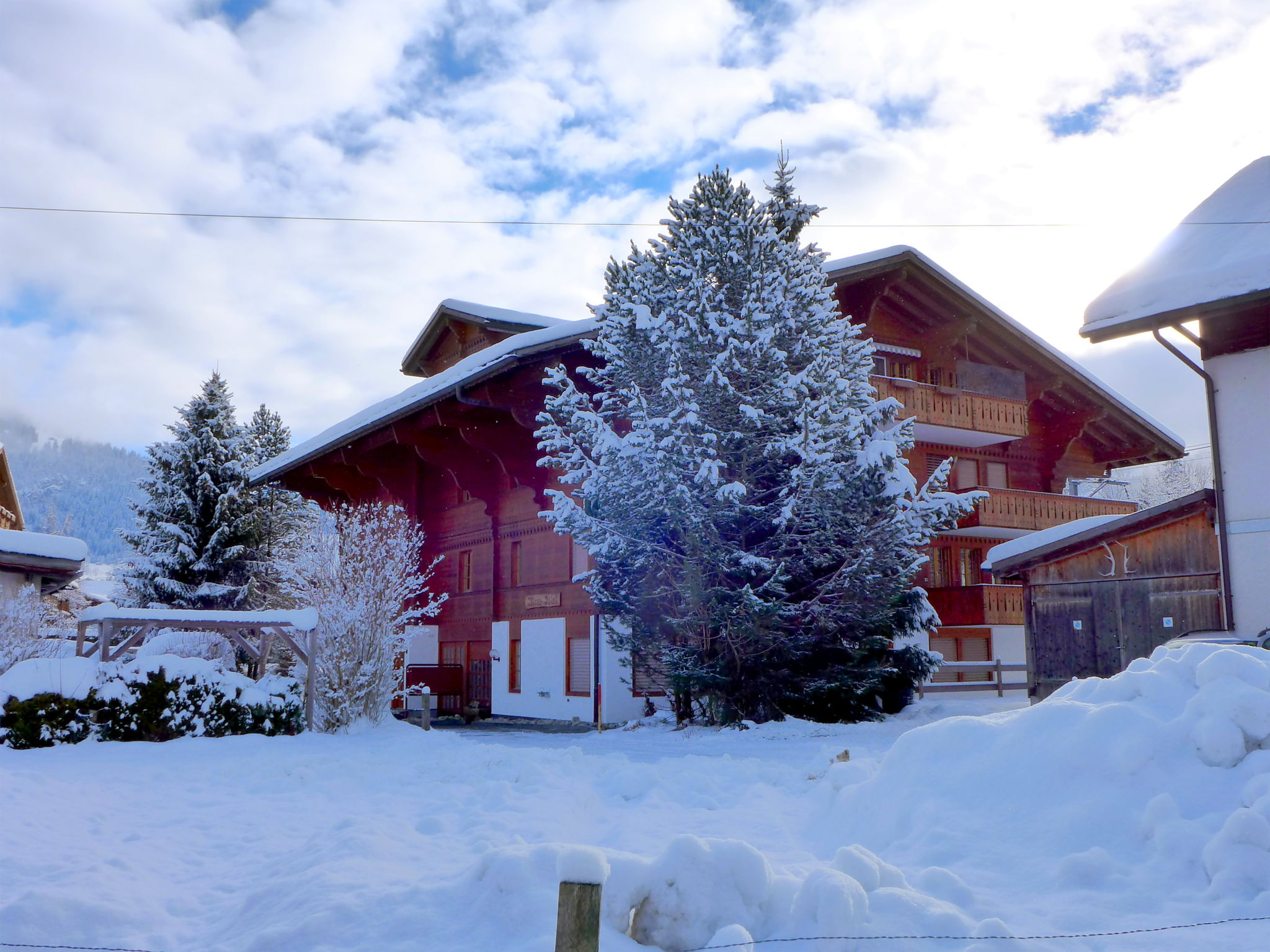 Foto 41 - Apartamento de 5 quartos em Saanen com terraço