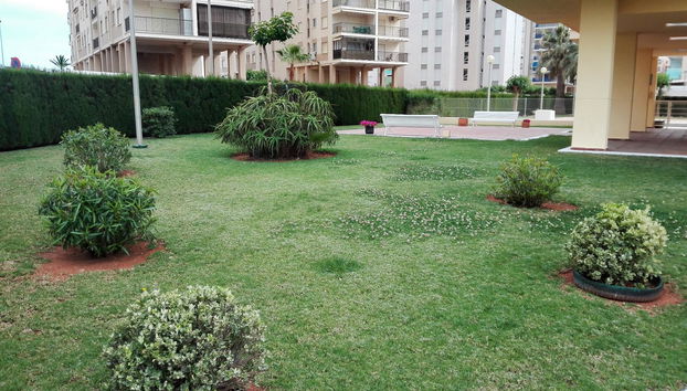 Apartamentos Benicassim 3000 - Foto 2