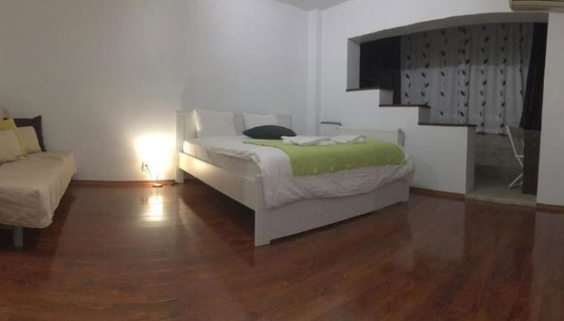 New Green Studio - Foto 3