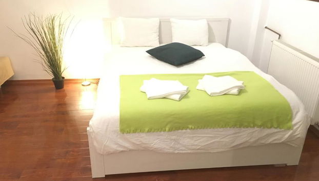 New Green Studio - Foto 4