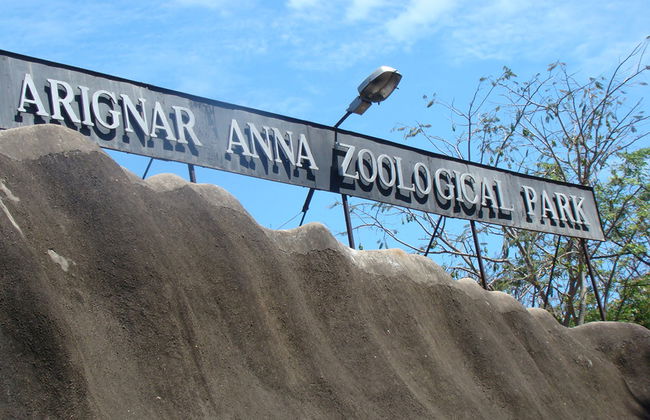 Excursión al Vandaloor Zoo - Tour Privado - Foto 3