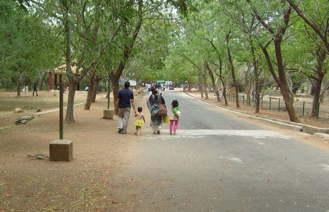 Excursión al Vandaloor Zoo - Tour Privado - Foto 6