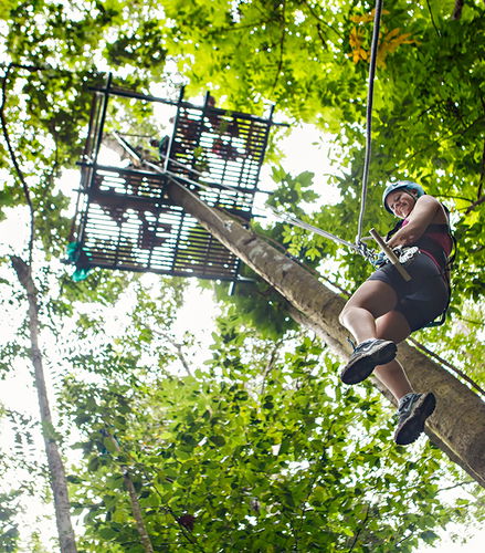 Foto de Recorrido por línea de cremallera adrenalina