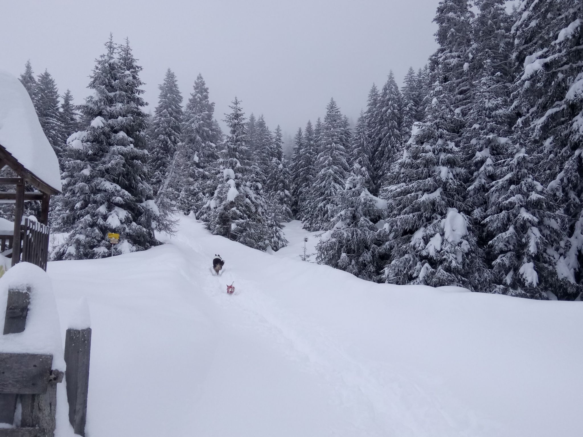 Photo 22 - Appartement en Axams avec vues sur la montagne