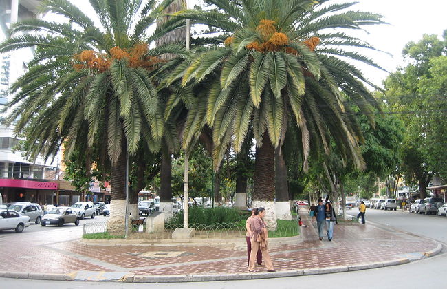 Cochabamba City Highlights - Excursion d'une demi-journée - Photo 6