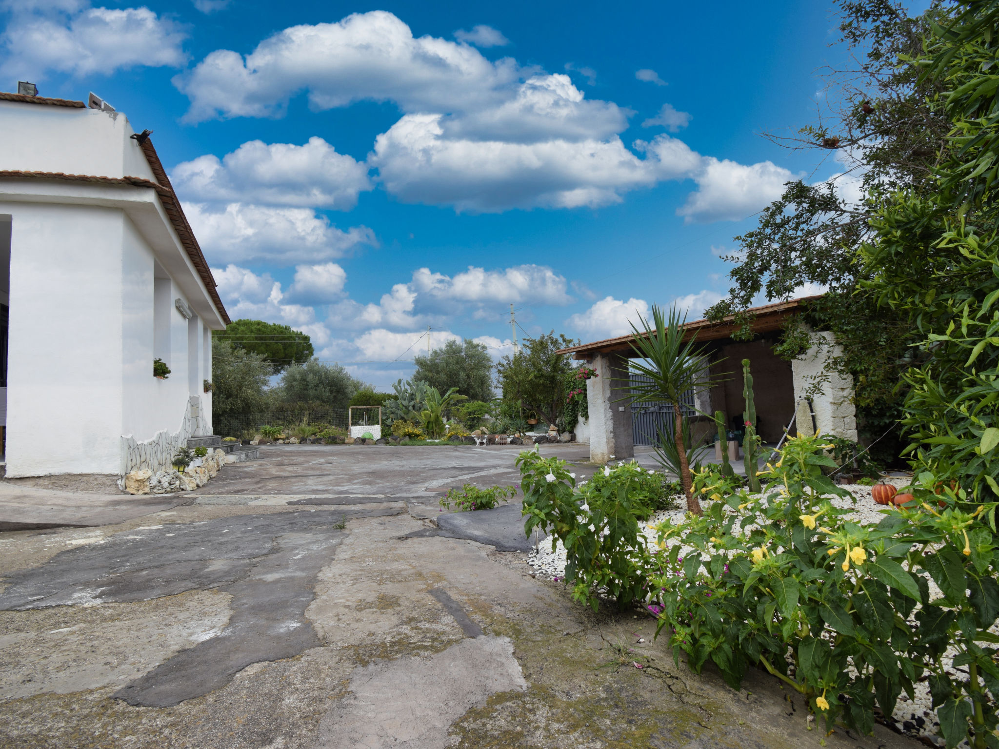 Photo 28 - Maison de 2 chambres à Augusta avec piscine privée et vues à la mer