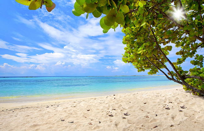 Tour por las playas más queridas de Aruba - Foto 4