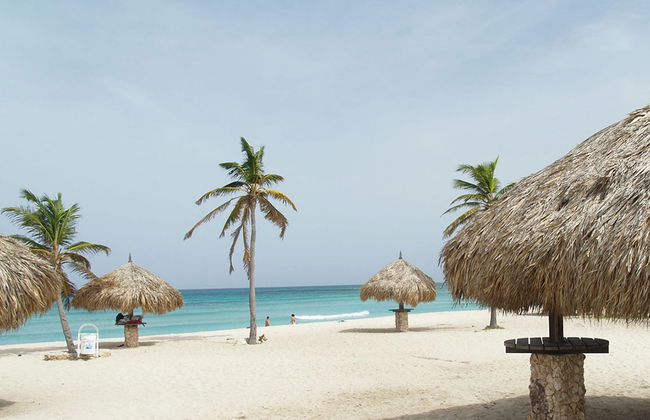 Tour por las playas más queridas de Aruba - Foto 3