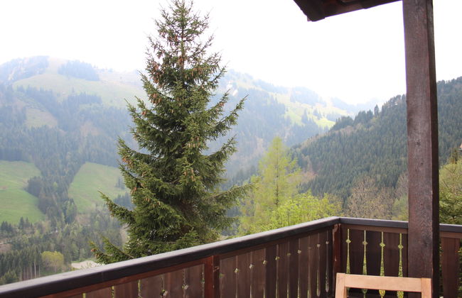 Casa de 4 quartos em Gruyères com jardim e terraço - Foto 13