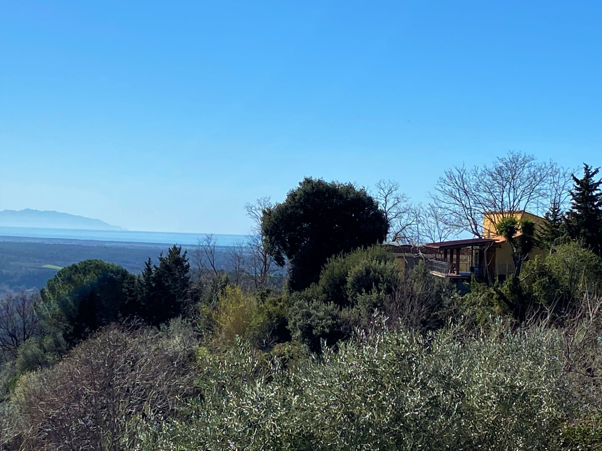 Photo 16 - Maison de 1 chambre à Riparbella avec jardin et terrasse