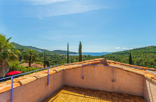 Photo 33 - 3 bedroom House in Le Lavandou with private pool and garden