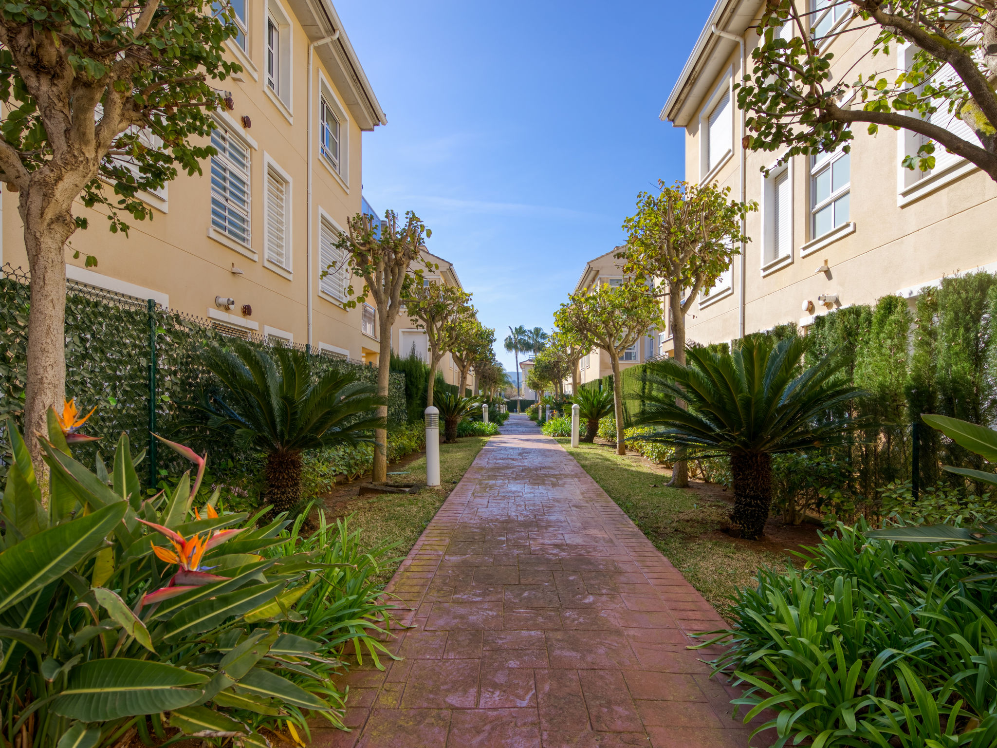 Photo 26 - Appartement de 2 chambres à Jávea avec piscine et jardin