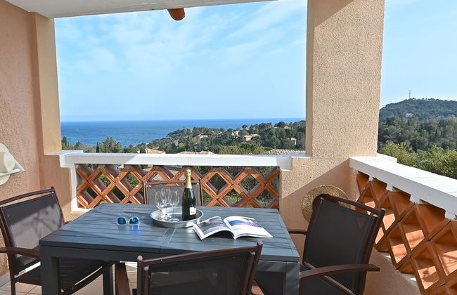 Appartamento con 1 camera da letto a Saint-Raphaël con piscina e giardino - Foto 19