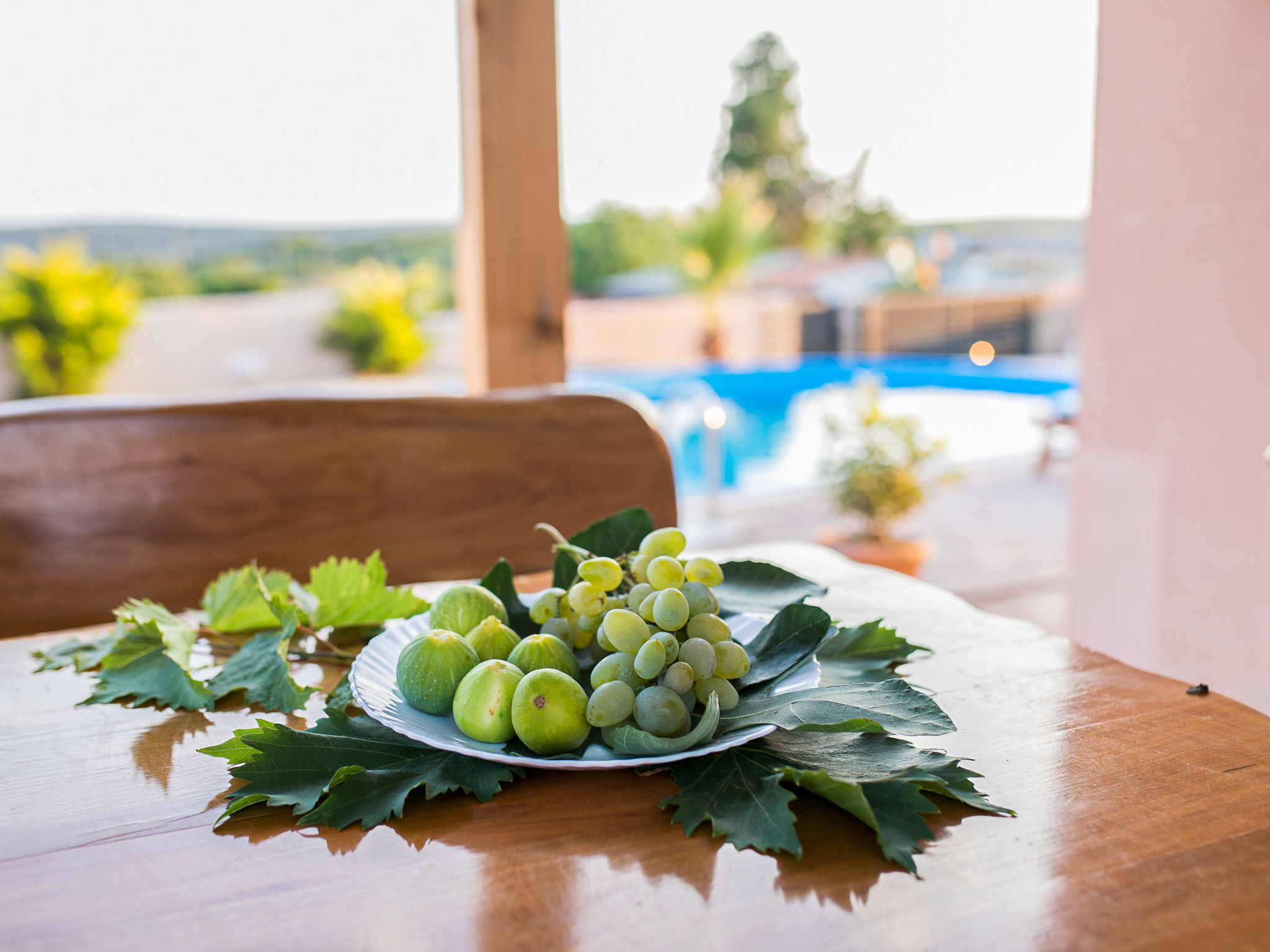 Photo 27 - Maison de 2 chambres à Ražanac avec piscine privée et jardin