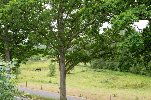 Photo 19 - Maison de 1 chambre à Alingsås avec jardin et terrasse