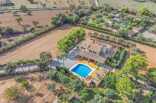 Foto 43 - Casa con 4 camere da letto a Alcúdia con piscina privata e giardino