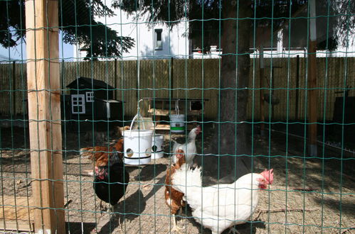 Foto 23 - Appartamento con 1 camera da letto a Innsbruck con giardino e terrazza