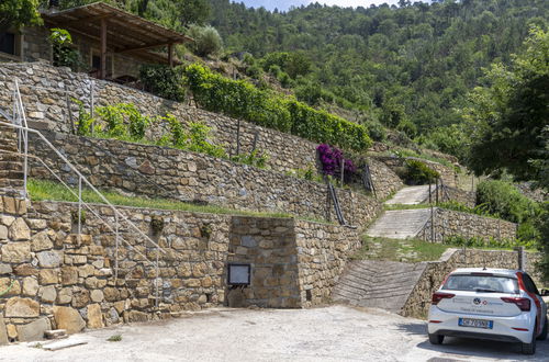 Photo 22 - Maison de 1 chambre à Vallebona avec jardin et terrasse