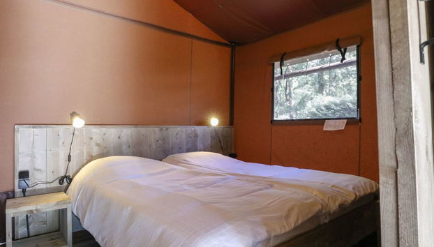 Casa de 3 quartos em Otterlo com piscina e terraço - Foto 3