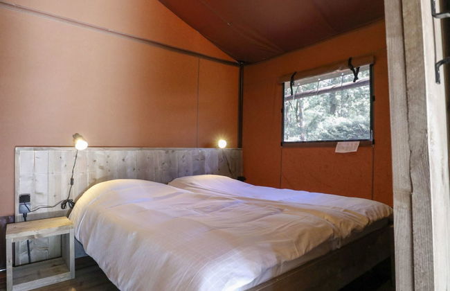 Casa de 3 quartos em Otterlo com piscina e terraço - Foto 3