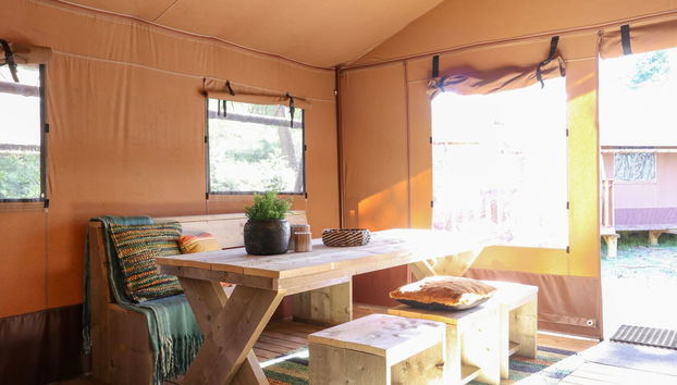 Casa de 3 quartos em Otterlo com piscina e terraço - Foto 2