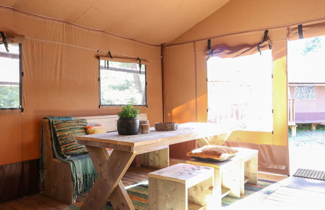 Casa de 3 quartos em Otterlo com piscina e terraço - Foto 2