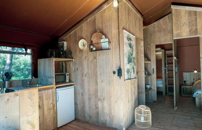Casa de 3 quartos em Otterlo com piscina e terraço - Foto 7