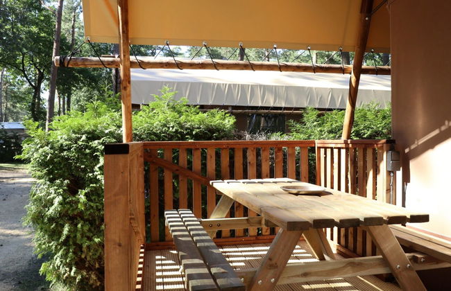 Casa de 3 quartos em Otterlo com piscina e terraço - Foto 13