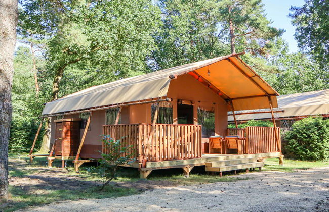 Casa de 3 quartos em Otterlo com piscina e terraço - Foto 14