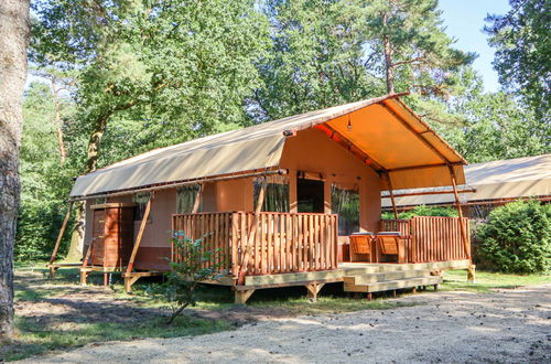 Photo 14 - Maison de 2 chambres à Otterlo avec piscine et terrasse