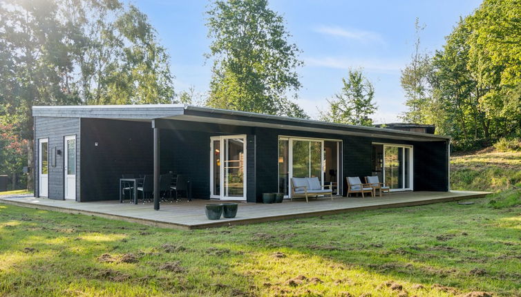 Foto 1 - Haus mit 3 Schlafzimmern in Knebel mit terrasse