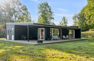 Foto 1 - Haus mit 3 Schlafzimmern in Knebel mit terrasse